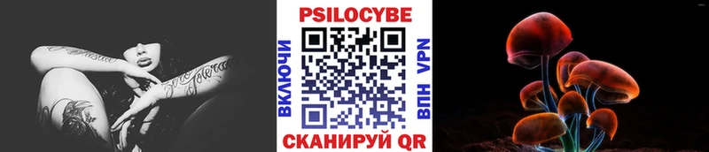 площадка формула  Дедовск  Псилоцибиновые грибы прущие грибы 